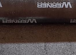 zdj-cie-g-wneorig